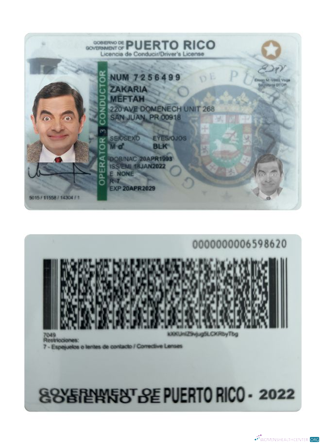 download Puerto Rico driving license 2022 present